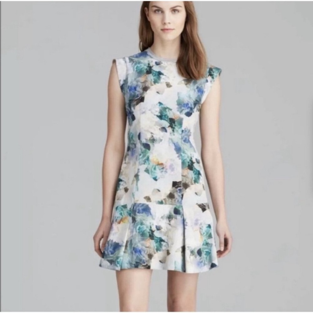 Rebecca Taylor Enchanted Gardens Dropwaist Floral Print Dress Size 4